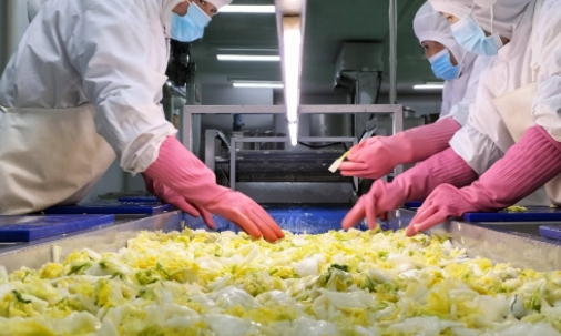 臭氧在凈菜加工中應(yīng)用的主要優(yōu)點(diǎn)